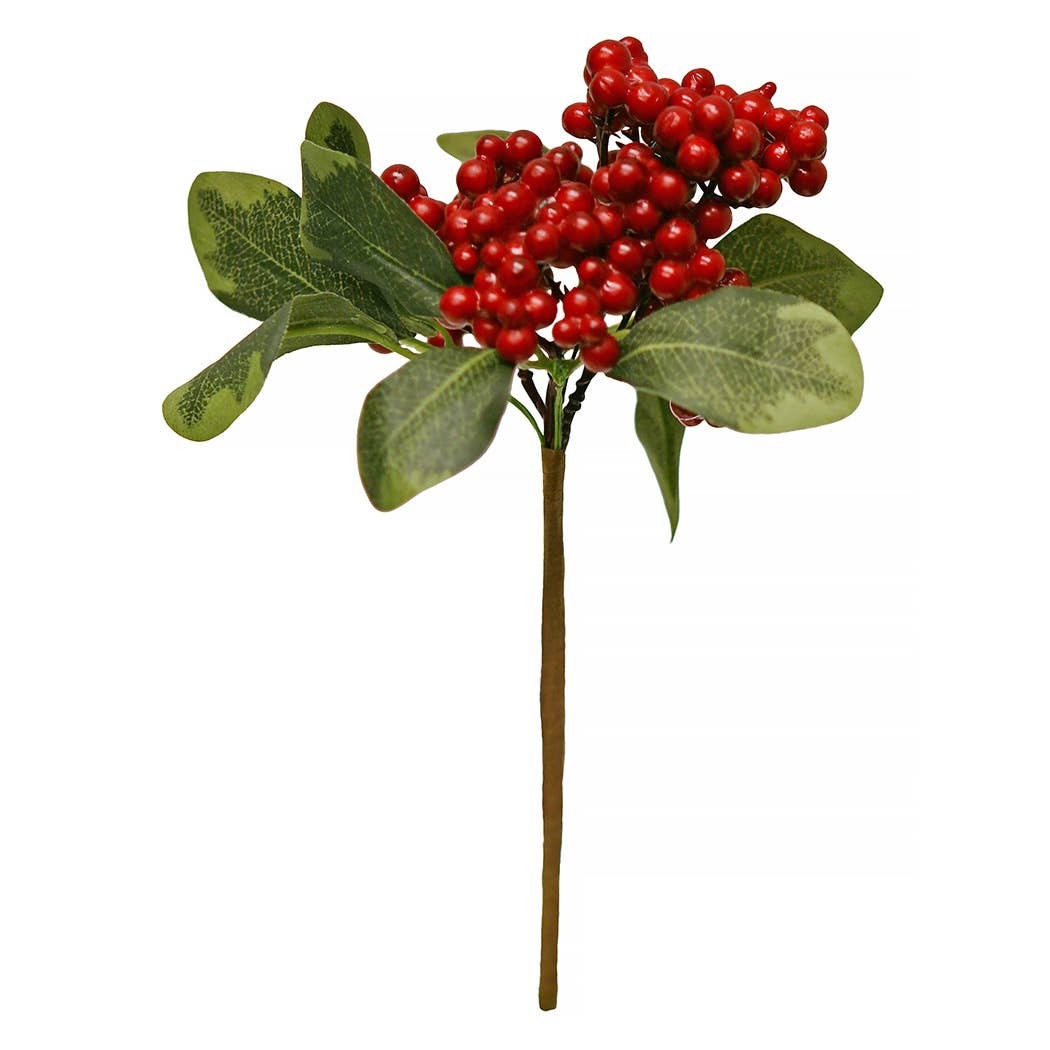 Firethorn Berry Pic