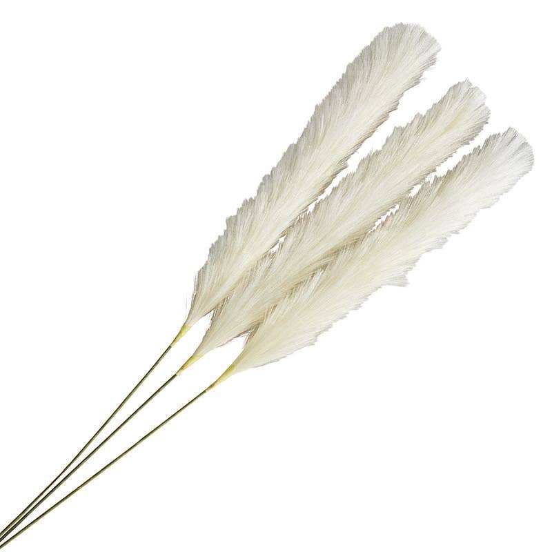 Cream Pampas Bunch Lg