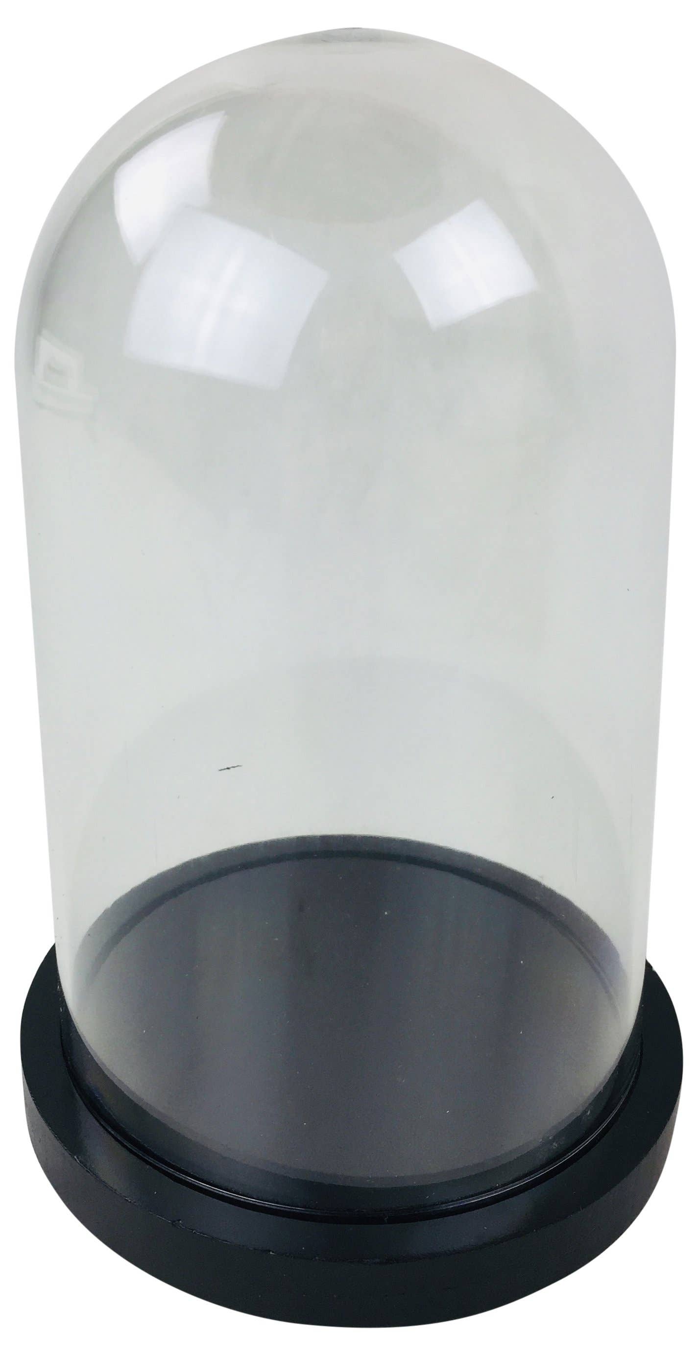 Plastic Display Dome