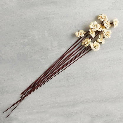 Palm Rose Palm Rose Dried Botanicals for Home Decor
