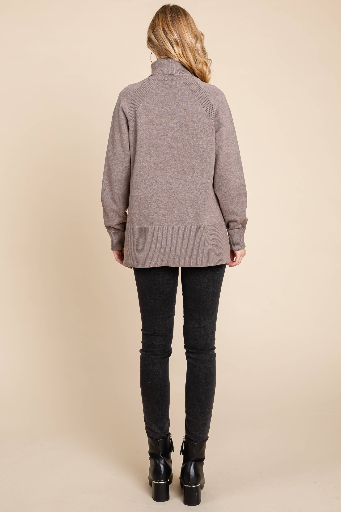Turtleneck Solid Sweater