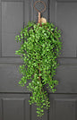 28in Evergreen Boxwood Teardrop 78903