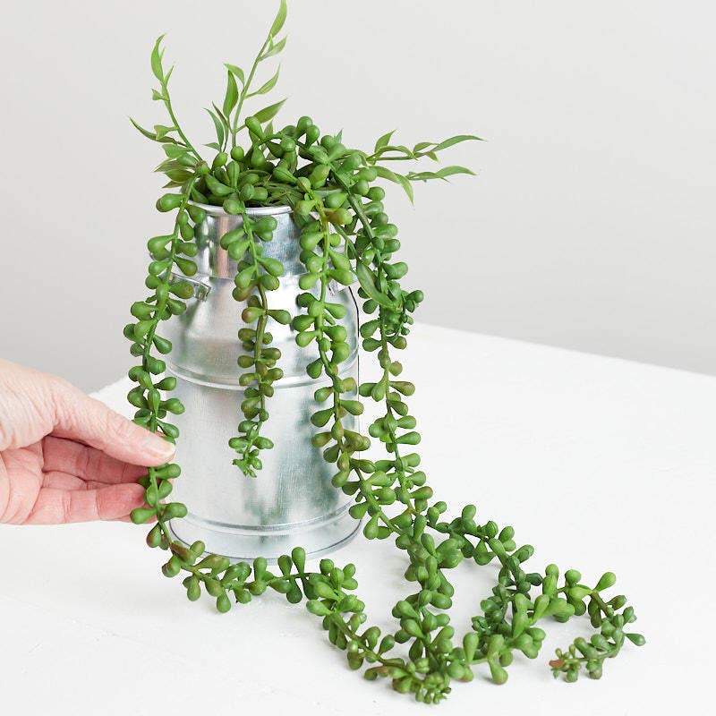 25" Cascading String of Pearls Sedum Succulent  Faux Plant