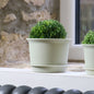 Plastic Plant Pots