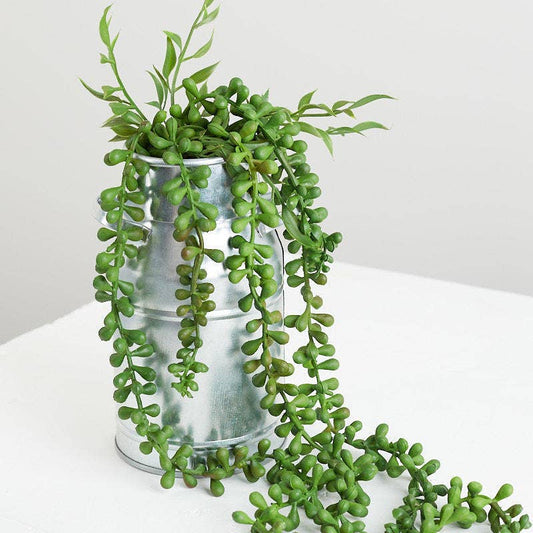 25" Cascading String of Pearls Sedum Succulent  Faux Plant