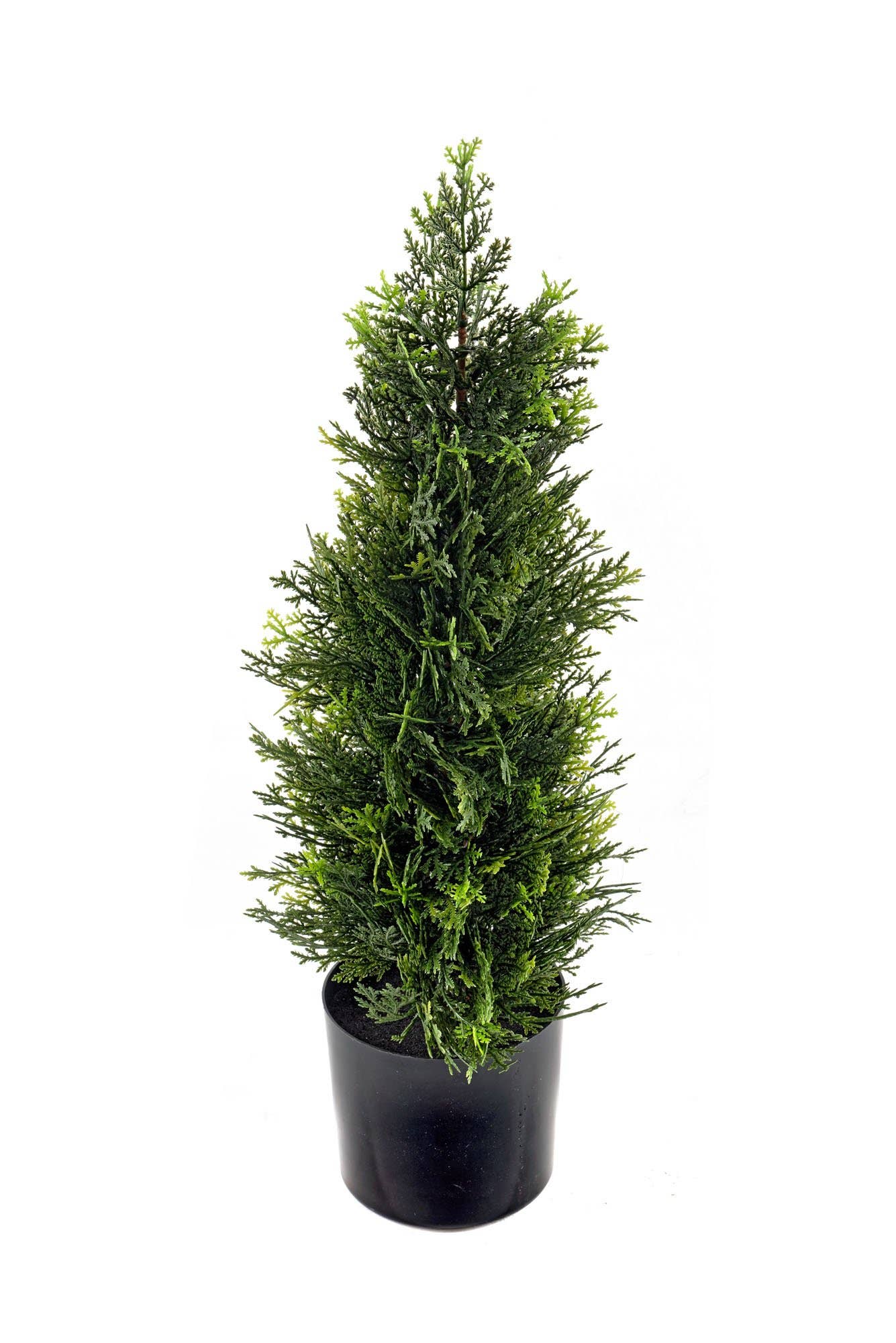 Cedar Topiary