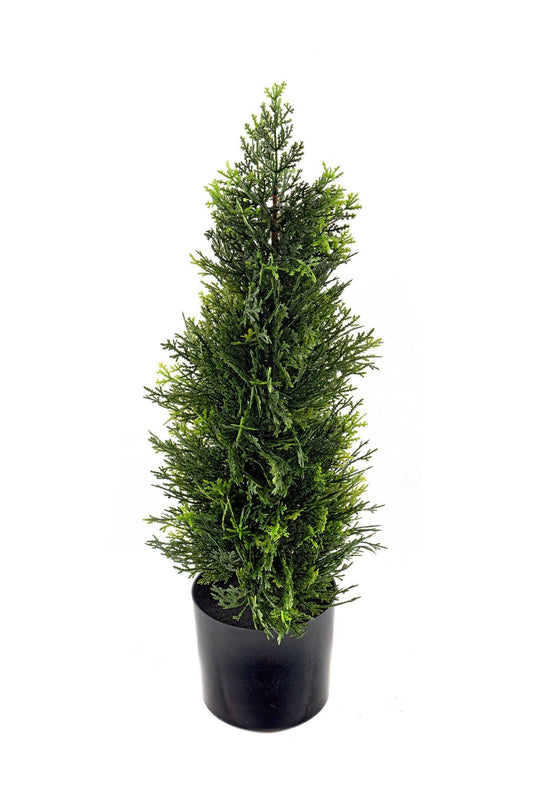 Cedar Topiary