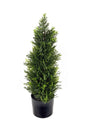 Cedar Topiary