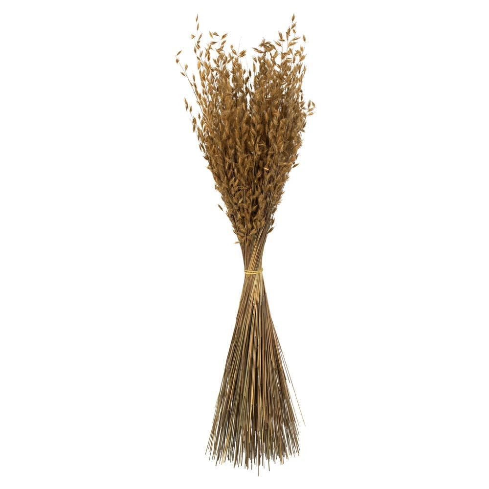 Vickerman 30" Natural Princess Grass, 3/pk Dried