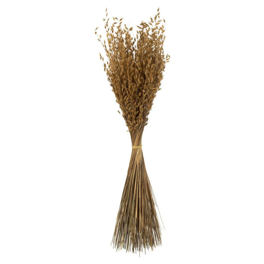 Vickerman 30" Natural Princess Grass, 3/pk Dried