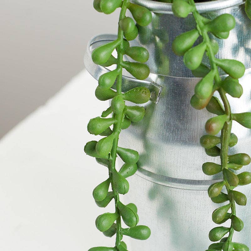 25" Cascading String of Pearls Sedum Succulent  Faux Plant