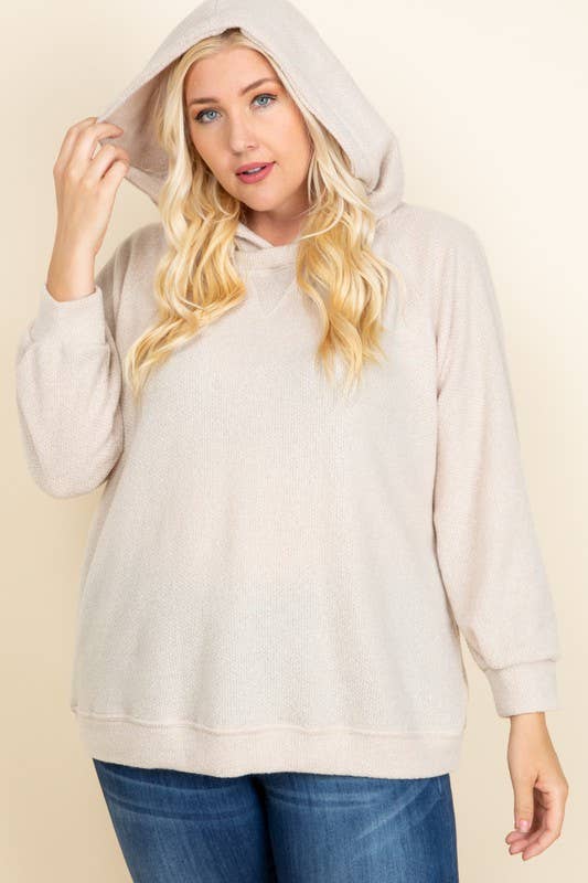 Plus Size Solid Macaroon Knit Hoodie