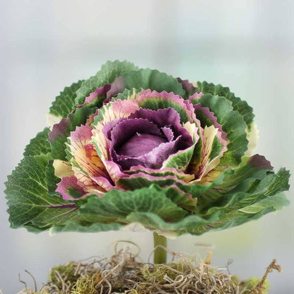 Artificial Decorative Ornamental Winter Cabbage
