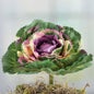Artificial Decorative Ornamental Winter Cabbage