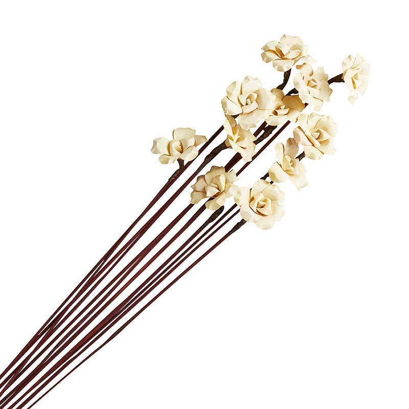 Palm Rose Palm Rose Dried Botanicals for Home Decor