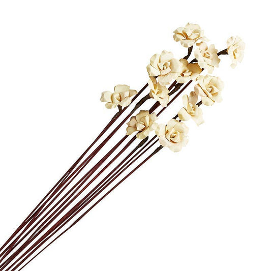 Palm Rose Palm Rose Dried Botanicals for Home Decor