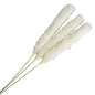 Cream Pampas Bunch Lg