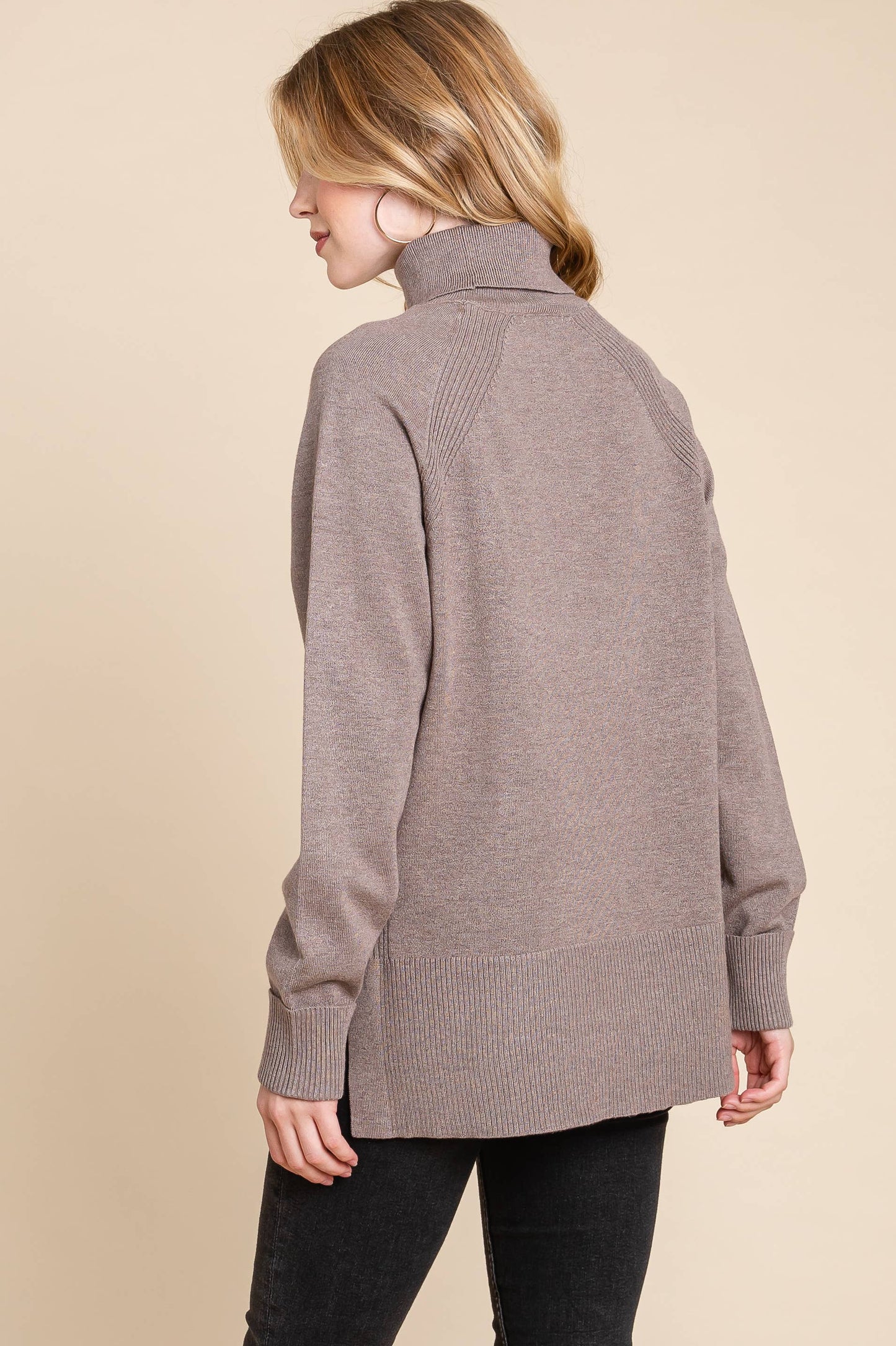 Turtleneck Solid Sweater