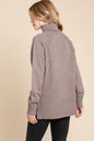 Turtleneck Solid Sweater